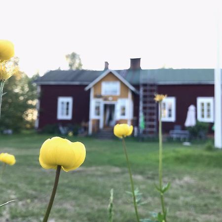 Paeivin Pirtti - Pirttikahvila Ja B&B Luosto Exterior photo