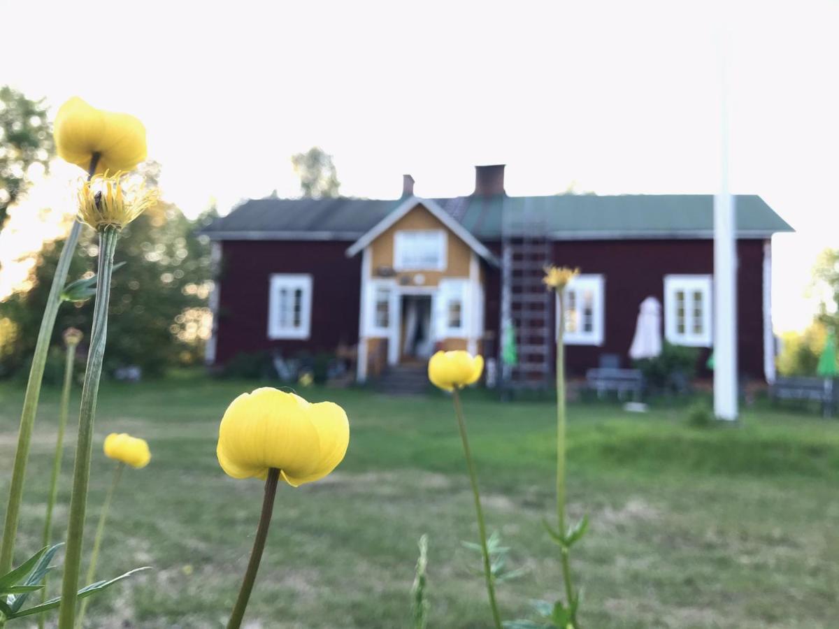 Paeivin Pirtti - Pirttikahvila Ja B&B Luosto Exterior photo